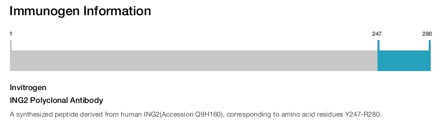 ING2 Polyclonal Antibody