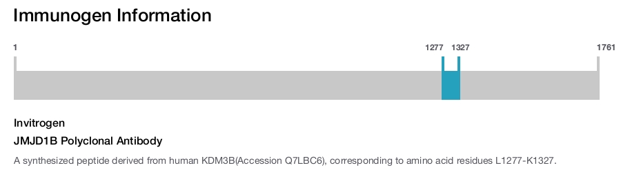 JMJD1B Polyclonal Antibody