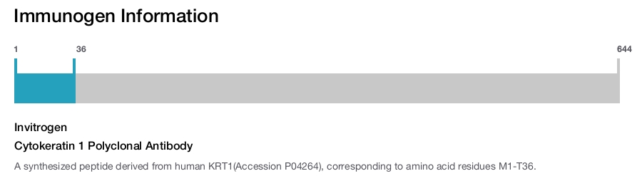 Cytokeratin 1 Polyclonal Antibody