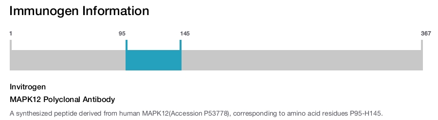 MAPK12 Polyclonal Antibody