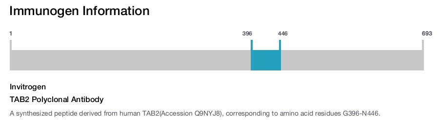 TAB2 Polyclonal Antibody