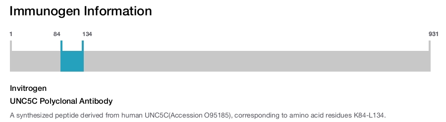 UNC5C Polyclonal Antibody