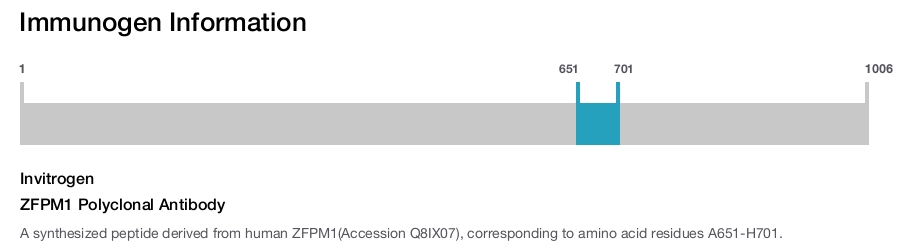 ZFPM1 Polyclonal Antibody
