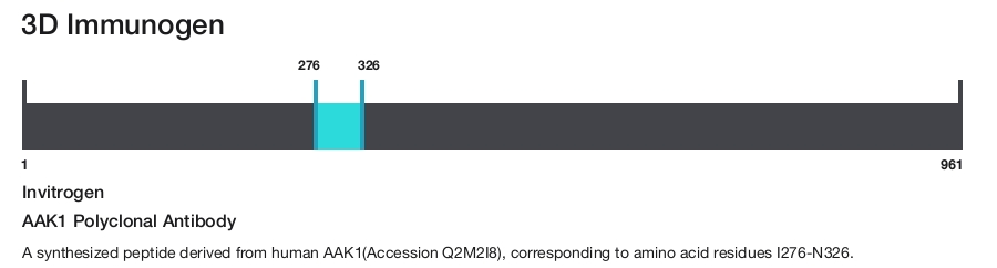 AAK1 Polyclonal Antibody