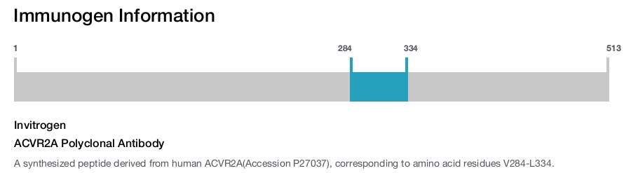 ACVR2A Polyclonal Antibody