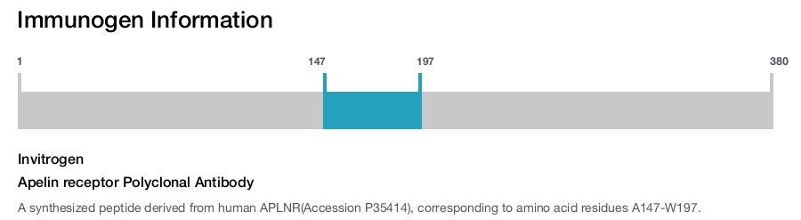 Apelin receptor Polyclonal Antibody
