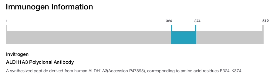 ALDH1A3 Polyclonal Antibody