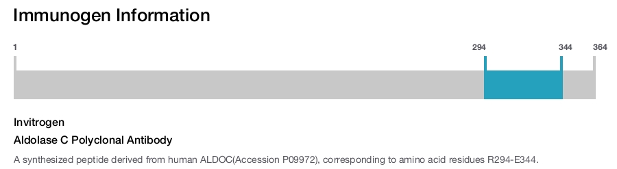 Aldolase C Polyclonal Antibody