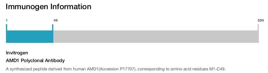 AMD1 Polyclonal Antibody