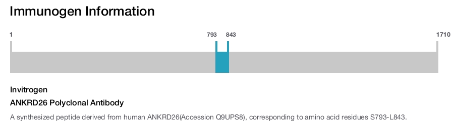 ANKRD26 Polyclonal Antibody