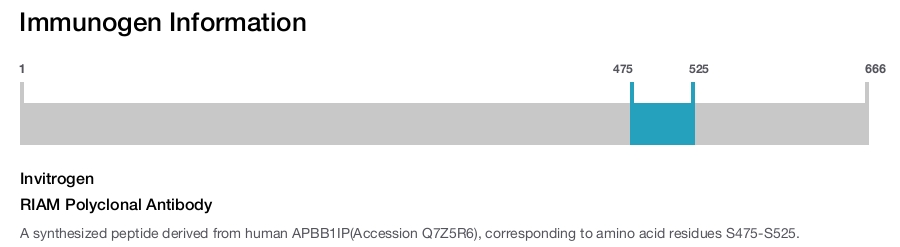 RIAM Polyclonal Antibody