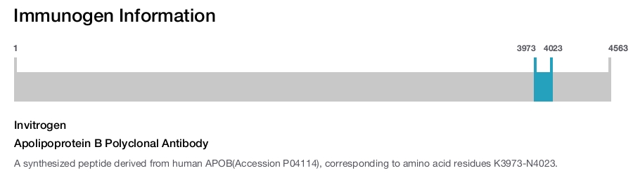 Apolipoprotein B Polyclonal Antibody
