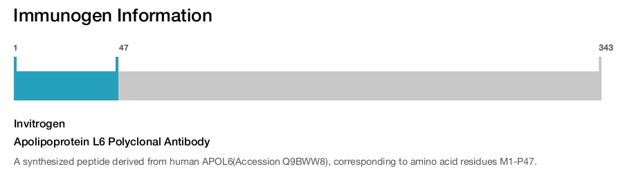 Apolipoprotein L6 Polyclonal Antibody