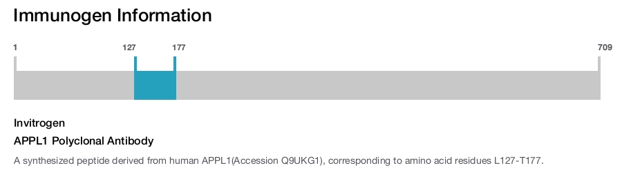APPL1 Polyclonal Antibody