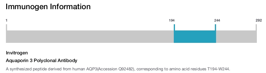 Aquaporin 3 Polyclonal Antibody
