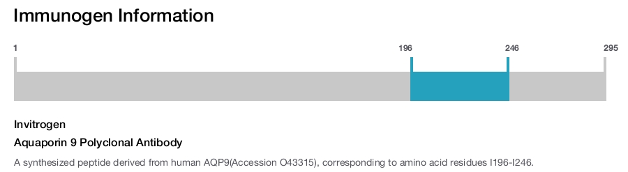 Aquaporin 9 Polyclonal Antibody