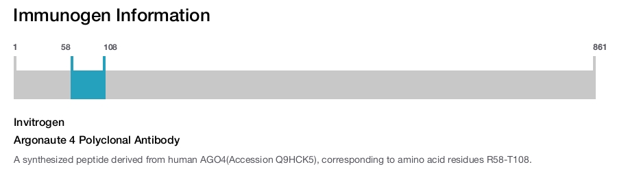 Argonaute 4 Polyclonal Antibody