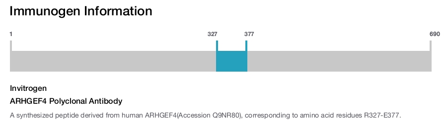 ARHGEF4 Polyclonal Antibody