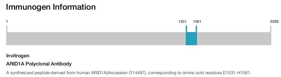 ARID1A Polyclonal Antibody