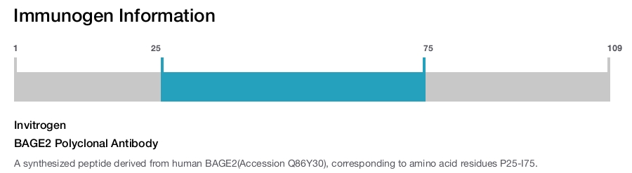BAGE2 Polyclonal Antibody