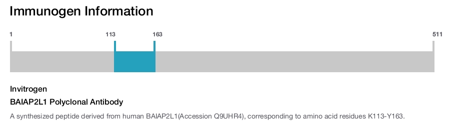BAIAP2L1 Polyclonal Antibody