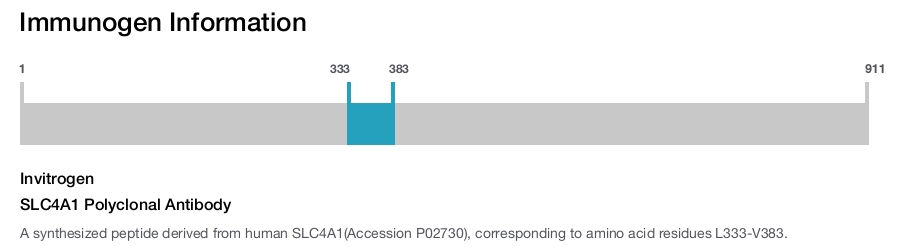 SLC4A1 Polyclonal Antibody