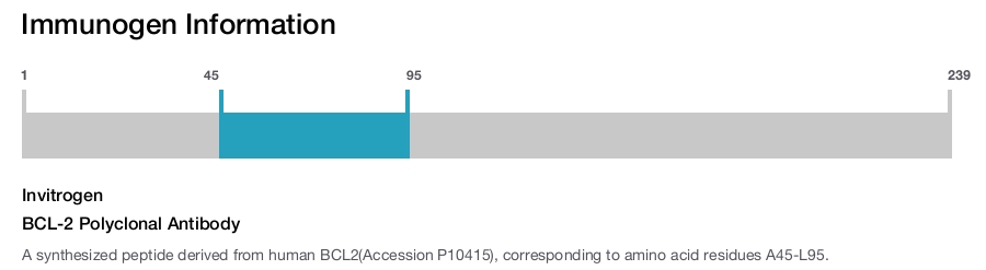 BCL-2 Polyclonal Antibody