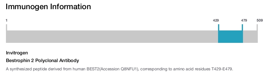 Bestrophin 2 Polyclonal Antibody