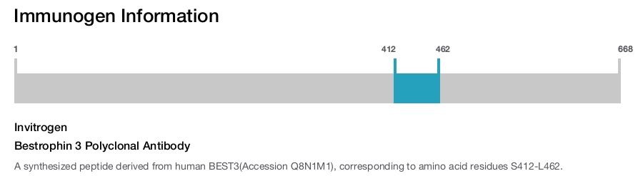Bestrophin 3 Polyclonal Antibody