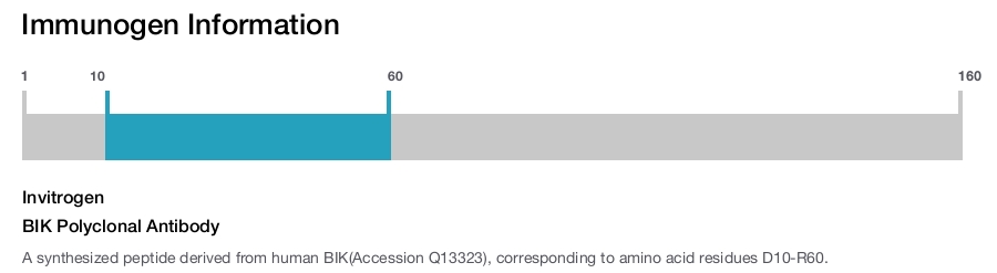 BIK Polyclonal Antibody