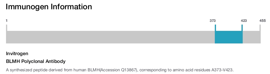 BLMH Polyclonal Antibody
