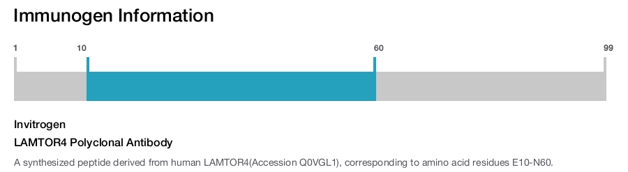 LAMTOR4 Polyclonal Antibody