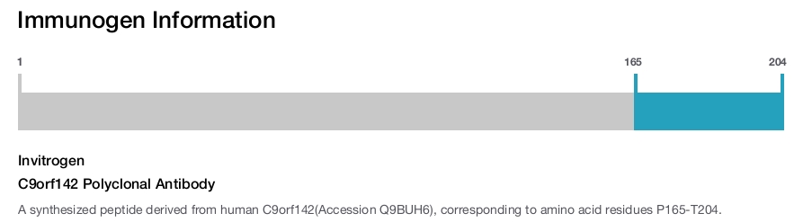 C9orf142 Polyclonal Antibody