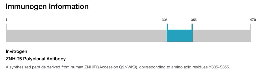 ZNHIT6 Polyclonal Antibody