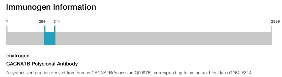 CACNA1B Polyclonal Antibody