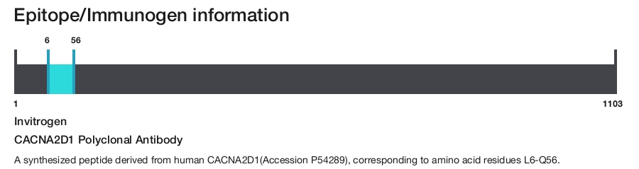 CACNA2D1 Polyclonal Antibody