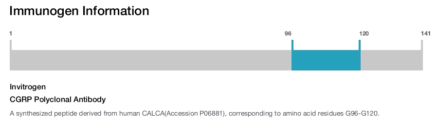 CGRP Polyclonal Antibody