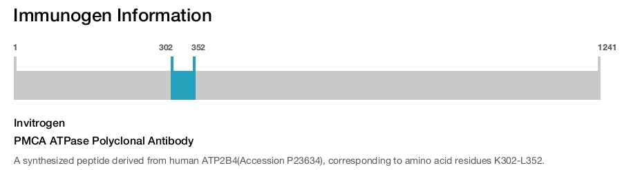PMCA ATPase Polyclonal Antibody