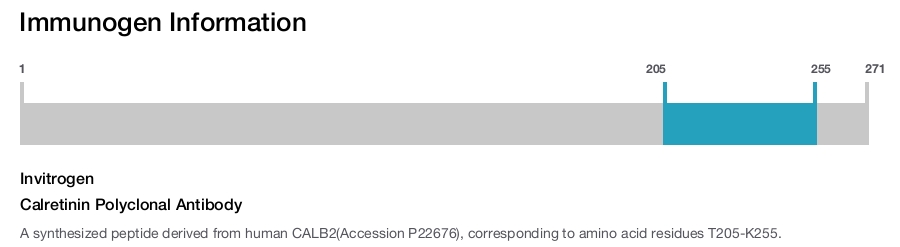 Calretinin Polyclonal Antibody
