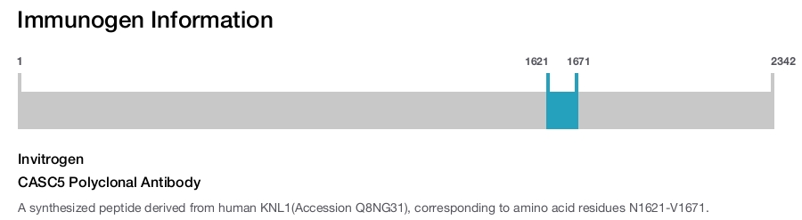 CASC5 Polyclonal Antibody