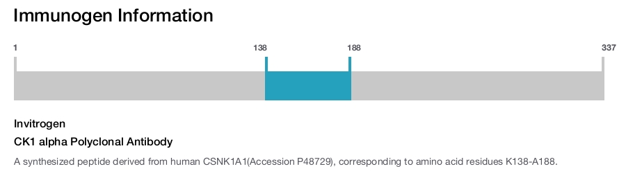 CK1 alpha Polyclonal Antibody
