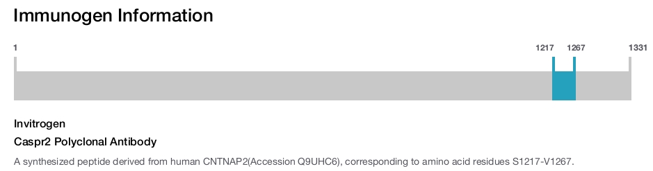 Caspr2 Polyclonal Antibody