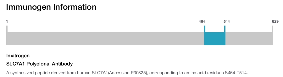SLC7A1 Polyclonal Antibody