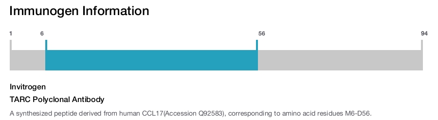 TARC Polyclonal Antibody