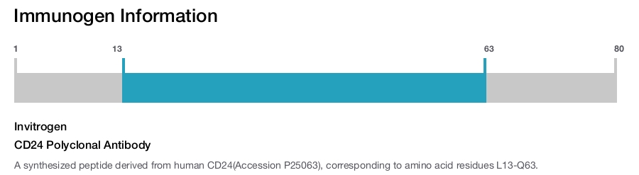 CD24 Polyclonal Antibody