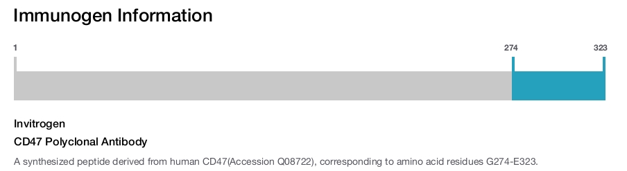 CD47 Polyclonal Antibody