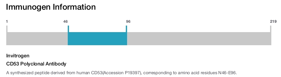 CD53 Polyclonal Antibody
