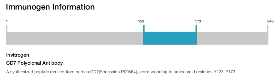 CD7 Polyclonal Antibody