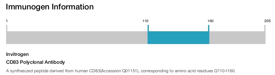 CD83 Polyclonal Antibody