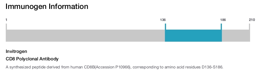 CD8 Polyclonal Antibody